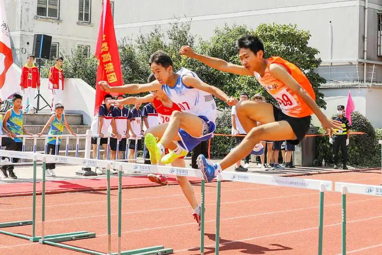 轻松上手！背板固定技巧让你在篮球架上尽情挥洒汗水