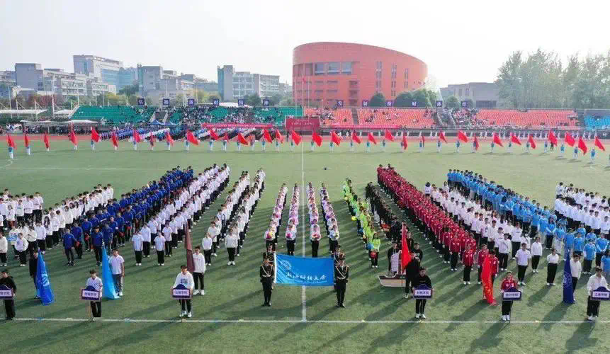 网球拍和球价钱的关系图